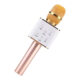 Microfono Karaoke Q9 Portatil